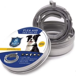Flea and Tick Collar for Dogs and Cats, Flea Treatment for Puppy Kitten,Adjustable Size, Waterproof Natural Safe, 8 Months Protection,1 Pack(Large)