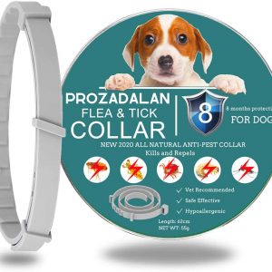 PROZADALAN Flea Collar for Dogs, Tick Collar for Dogs, Flea and Tick Collar for Dogs, Waterproof Dog Flea Collar, Unique Plant Based Formula, Small to Extra Large, 8 months Protection, Universal Gray