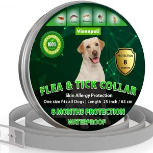 Natural Flea Treatment for Dogs – 8 Months Flea and Tick Collar Dog Protection – Adjustable Dog Flea Collar for Small, Medium, Large Puppy – Effective & Waterproof Lice, Tick Repellent for Dogs (Grey)