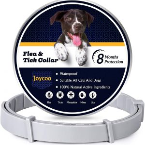 Joycoo Flea and Tick collar for dogs 8-Month Protection Flea and Tick Control for Dogs Flea and Tick Prevention for Dogs and Cats Natural Ingredients Waterproof