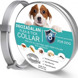 Flea Collar for Dog, 8 Months Protection Dog Flea Treatment, 100% Natural Waterproof & Adjustable Flea and Tick Collar Dogs, Help Puppies, Medium and Large Dogs Effectively Repel Lice, Fleas, Pests
