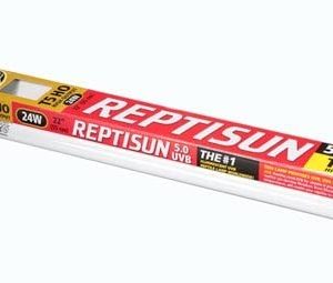 Zoo Med ReptiSun 5.0 UVB T5HO 24W 22” Reptile Lighting Fluorescent Tube Bundle with Carolina Custom Cages’ Chlorhexidine Solution 2%; 1 Refill Makes 32 oz. of Working Solution