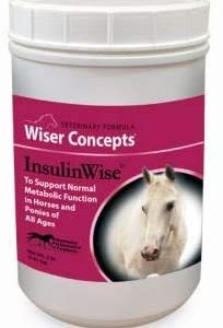 Wiser Concepts InsulinWise – 2 lb – Made in The USA