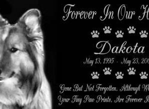 Lazer Gifts 12 x 6 Personalized Black Granite Pet Memorial Marker Style