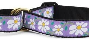 Up Country Daisy Martingale Dog Collar – Large (13.5-22.5 Inches) – 1 in Width