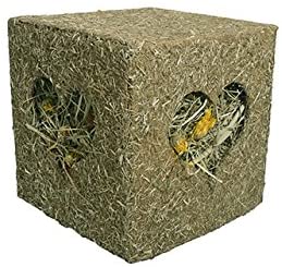 Rosewood Naturals I Love Hay Forage Cube Treat and Toy for Rabbits/Guinea Pigs/Chinchillas and Degus, Large