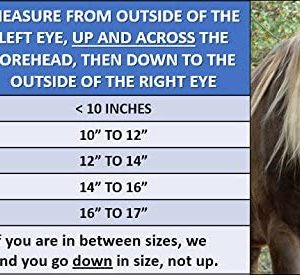 EquiVizor 95% UV Eye Protection (COB) Standard Horse Fly Mask – Insects, Dust, Debris, Uveitis, Corneal Ulcer, Cataract, Light Sensitivity, Cancer. Designed to Stay On Your Horse, Off The Ground!