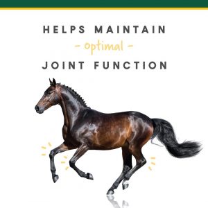 Corta-Flex Equine Joint Supplement | Horse Supplement for Healthy Joints | Quick & Effective Nourishment to Joints formulated with Vitamins and Minerals | 12 LB Pellet