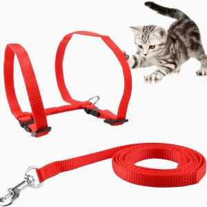 BAODATUI Cat Harness, Adjustable Harness Nylon Strap Collar with Leash, Cat Leash and Harness Set, for Cat and Small Pet Walking