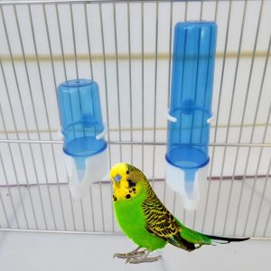 Hukai Parrot Feeder Automatic Water Drink Container Food Dispenser Cage Birds Supplies