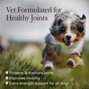Nutri-Vet Extra Strength Hip & Joint Supplement for Dogs | Formulated with Glucosamin & Chondroitin | 120 Chewable Tablets