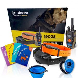 Dogtra 1902S Two Dog Remote Training Collar – 3/4 Mile Range, Rechargeable, Waterproof – Plus 1 iClick Training Card, Jestik Click Trainer – Value Bundle