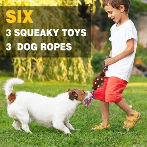 Puppy Toys for Teething Small Dogs – TOYSBOOM 6 PCS Small Dog Toys Pack, Stuffed Squeaky Toys, Durable Dog Rope for Puppies and Medium Dogs, Non-Toxic and Safe Puppy Chew Toys