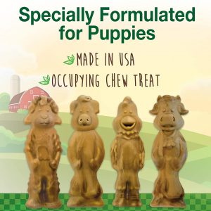 Nylabone Healthy Edibles All-Natural Puppy Chew Treats for Large Breed Puppies Lamb & Apple Medium/Wolf – Up to 30 lbs.