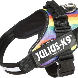 Julius-K9 16IDC-JRBW-1 IDC Powerharness, Dog Harness, Size 1, Rainbow