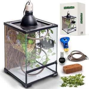 BIOTERIUM Reptile Tank and Terrarium Tank Starter Kit | 12x12x18 Inch Glass Tank for Reptiles | Reptile Enclosure Combo Includes Cork Bark Background, Deep Dome Lamp, Bulb, Thermometer, and More
