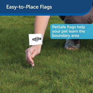 PetSafe Boundary Flags (Bundle of 50), For Use with PetSafe’s Dog and Cat In-Ground Fences and Wireless Fences – From the Parent Company of INVISIBLE FENCE Brand