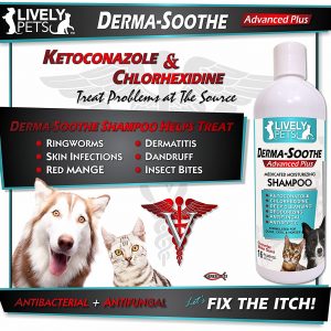 Medicated Dog Shampoo for Dogs and Cats | Ketoconazole, Chlorhexidine for Dry Skin, Yeast Infections, Dandruff, Mange, and Hot Spots – MAX STRENGTH Antifungal Shampoo