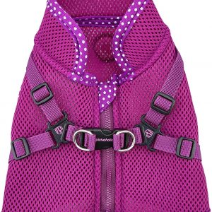 Pinkaholic New York Niki Harness V – Purple – S