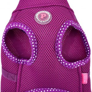 Pinkaholic New York Niki Harness V – Purple – S