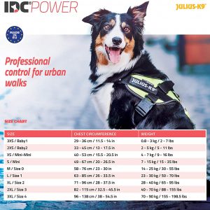 Julius-K9 16IDC-JRBW-1 IDC Powerharness, Dog Harness, Size 1, Rainbow