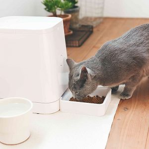 PETLY(Automatic Pet Feeder)