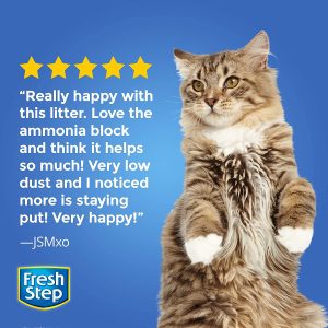 Fresh Step Odor Shield Scented Litter with The Power of Febreze, Clumping Cat Litter, 38 lb