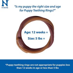 N-Bone Puppy Teething Ring PUM PKin Delicious Low Fat Puppies Chew Treats 6 PK